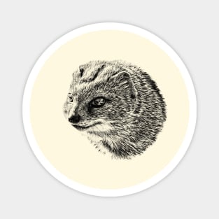 Yellow mongoose Magnet